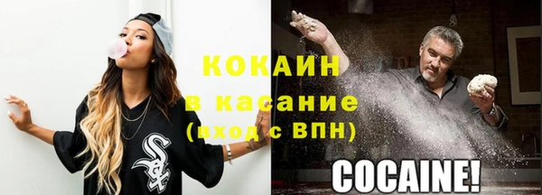 шишки Нязепетровск