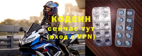 шишки Нязепетровск