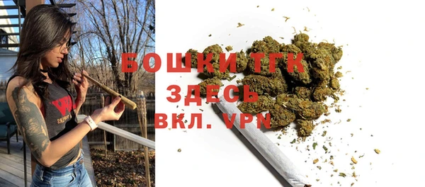 шишки Нязепетровск