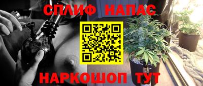 spice Заводоуковск