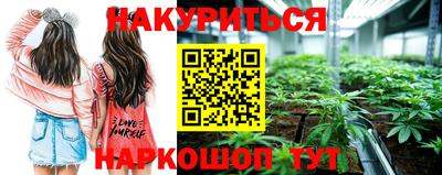 spice Заводоуковск