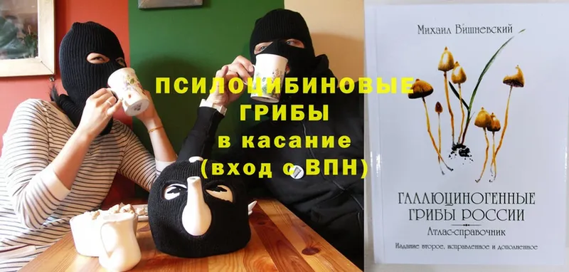 Галлюциногенные грибы GOLDEN TEACHER  Кизляр 