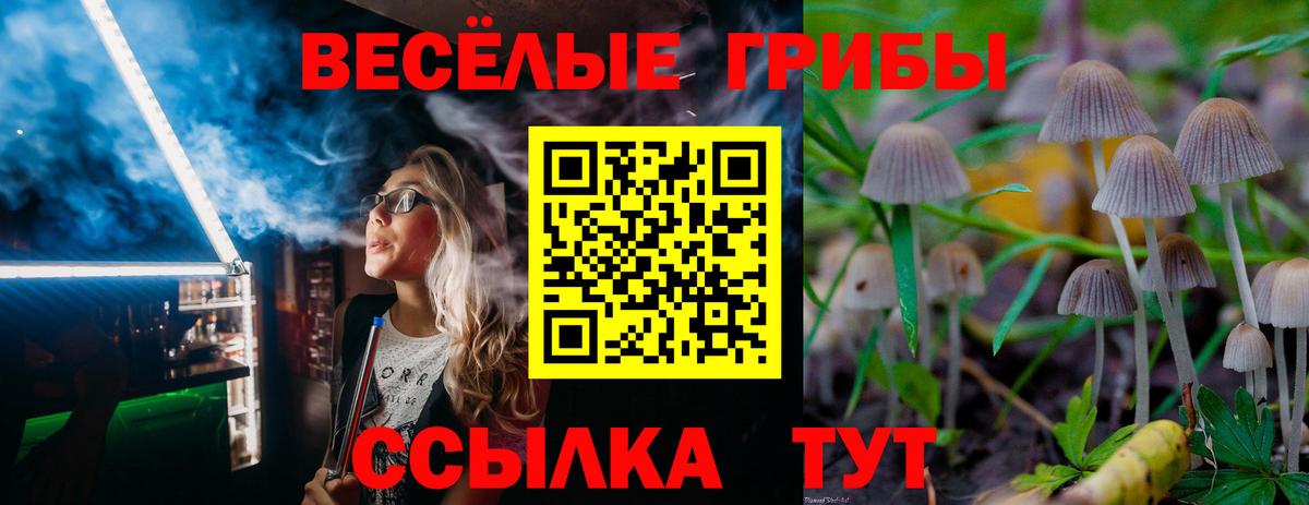 Псилоцибиновые грибы Cubensis  Кизляр 