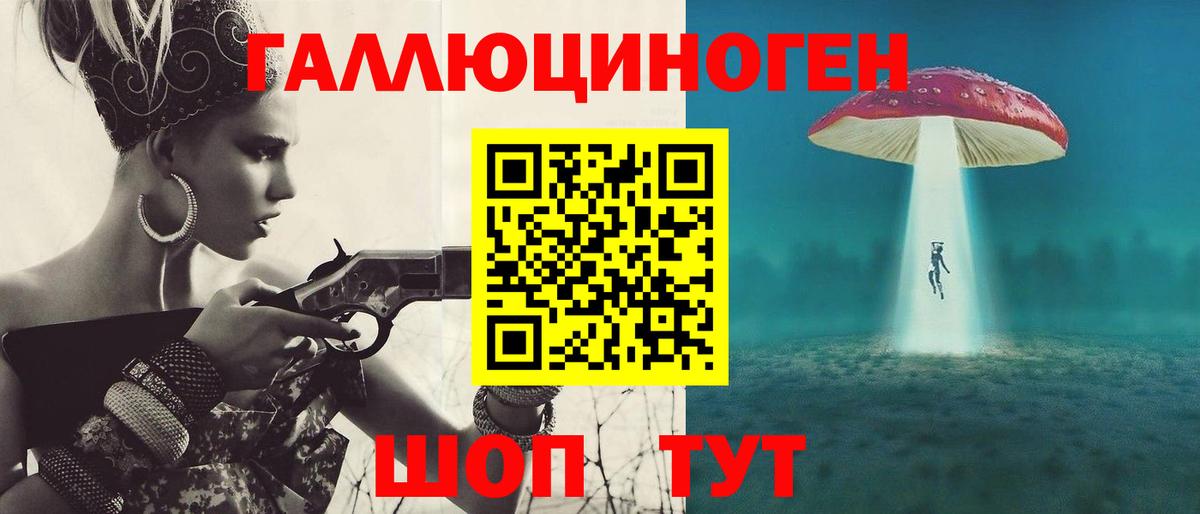 Псилоцибиновые грибы Psilocybe Кизляр
