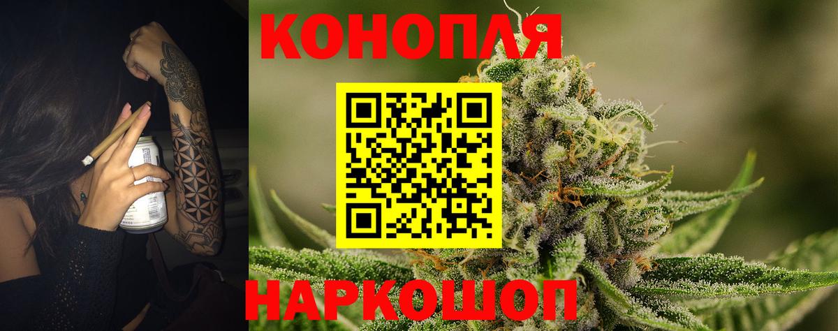 Каннабис конопля Кизляр